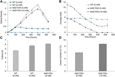 Heterologous expression of formate dehydrogenase enables photoformatotrophy in the emerging model microalga, Picochlorum renovo